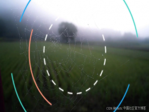 使用 OpenTelemetry 和 Elastic 对 Web 前端进行监测和监控_Web应用性能监测最佳实践