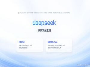 【AI大模型】使用Python调用DeepSeek的API，原来SDK是调用这个，绝对的一分钟上手和使用_deepseek-sdk
