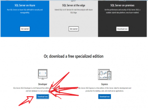 SQL Server（2022）安装教程及使用_sqlserver下载安装图文_sql developer下载安装教程