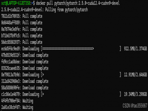 【2025深度学习环境搭建-2】pytorch+Docker+VS Code+DevContainer搭建本地深度学习环境_docker拉取官方pytorch镜像