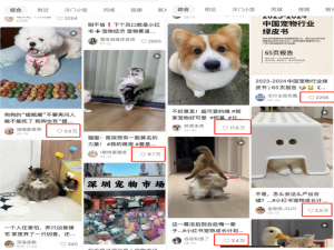 Springboot实战：AI大模型+亮数据代理助力短视频时代_springboot集成ai大模型