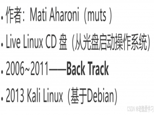 Kali Linux 安装（非常详细），零基础入门到精通，看这一篇就够了