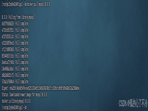 【Docker】安装MYSQL_docker 安装mysql