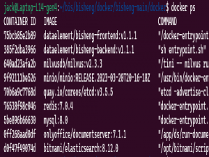 bisheng系列（一）- 本地部署（Docker）_bisheng部署