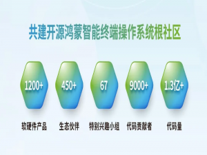 诚邀报名参会 | 2025开放原子开源生态大会开源鸿蒙主题演讲即将举办