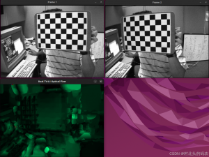 OpenCV用于计算光流的一个类cv::optflow::DualTVL1OpticalFlow