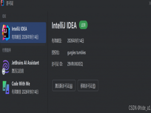 2025年ide java python j系列激活码（持续更新）