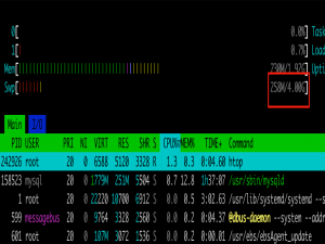 Ubuntu Linux 如何配置虚拟内存 —— 一步一步配置 Ubuntu Server 的 NodeJS 服务器详细实录8
