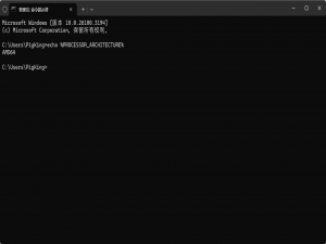 【说明书#2】一文搞懂ARM、AMD、Intel架构到底是什么意思_arm amd