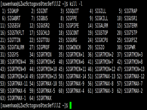 Linux进程信号——信号产生