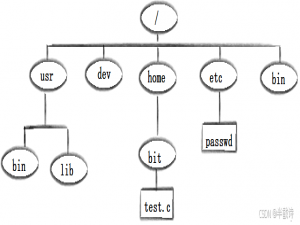【Linux】命令为桥，存在为岸，穿越虚拟世界的哲学之道