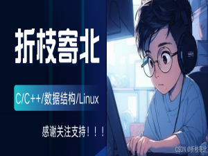 揭开顺序表的神秘面纱，探索数据结构的精髓