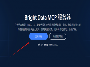 使用 Python + Bright Data MCP 实时抓取 Google 搜索结果：完整实战教程（含自动化与集成）