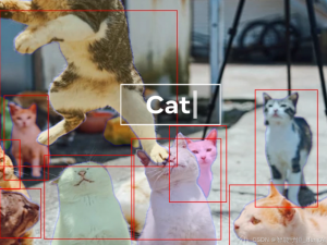 【图像处理基石】Segment Anything Model (SAM) 调研