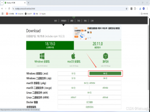 Node.js 下载安装与环境配置全流程（保姆级详解）| 图文详解，快速上手_node安装教程图文详解