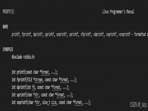 初识Linux · 重定向和缓冲区(续)_linux stdout缓冲
