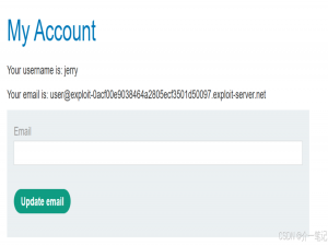 Web LLM 安全剖析：以间接提示注入为核心的攻击案例与防御体系