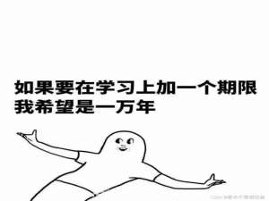 【动态规划】须知少时凌云志，曾许人间第一流 - 二维01背包问题