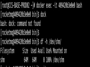 系统优化：docker当中的/dev/shm共享内存问题_docker shm