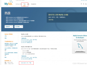 2024 年 MySQL 8.0.40 安装配置、Workbench汉化教程最简易（保姆级）_mysql 8.0.40安装