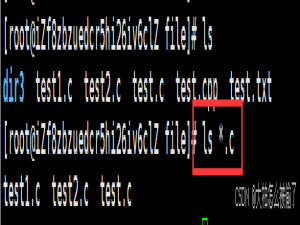 【Linux】常见指令（中）_cat 通配符