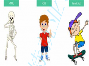 前端学习——JavaScript基础