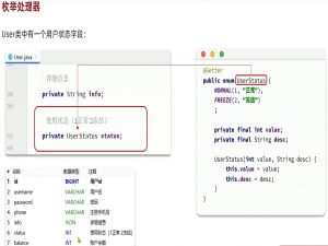 MybatisPlus-16.扩展功能-枚举处理器