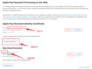 前端ApplePay支付-H5全流程实战指南