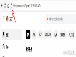 SSL/TLS协议深度解析_tls解析
