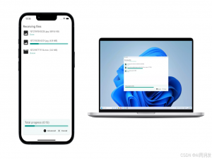 LocalSend - 免费、开源、跨平台的局域网文件传输工具_开源局域网传输软件