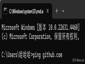 Unable to access ‘xxx.github.git/‘: Failed to connect 或 Ping github.com超时问题的解决方法