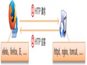 Linux-Day11.WEB服务，虚拟主机