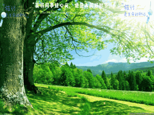 【优选算法 | 哈希表】常见算法题的哈希表套路拆解