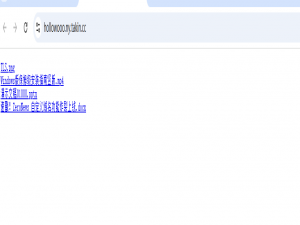 ZeroNews打造安全高效的文件协作新体验