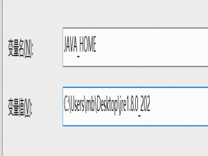 Apache Tomcat RCE 稳定复现 保姆级！(CVE-2024-50379)附视频+POC