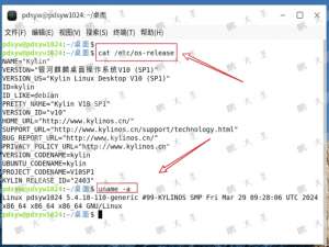 实战！银河麒麟 KYSEC 安全中心执行控制高级配置指南_银河麒麟安全配置管理在哪