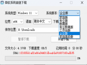 直连微软，下载速度达18M/S_微软系统直链下载
