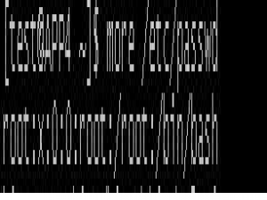 Linux | C Shell 与 Bash 的差异 / 环境变量配置问题解析
