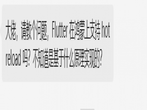 简单聊聊 Flutter 在鸿蒙上为什么可以 hotload ？