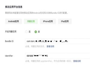 HarmonyOS NEXT 鸿蒙微信登录（保姆级）_鸿蒙开发微信登录