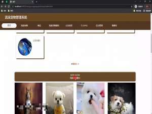 基于Java+SpringBoot+Vue+HTML5流浪宠物管理系统(源码+LW+调试文档+讲解等)/流浪动物管理/宠物管理系统/流浪宠物收容/流浪狗管理/流浪猫管理/宠物领养系统/宠物登记系统