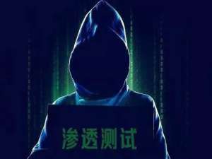 【2025版】最新黑客渗透安全及渗透测试流程，零基础入门到精通，收藏这篇就够了_黑客 渗透