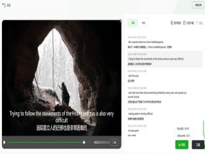 2025 实测！TOP8 AI 字幕工具横评：最快 1分钟视频加字幕！_一键生成ai字幕的在线工具有哪些