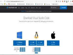 2025年超详细 VSCode 安装与中文配置教程（小白友好版）