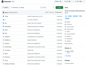 Go1.25 新特性：Go modules 终于要支持 Git 子目录，太感人了！！！
