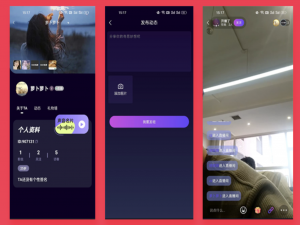 JAVA直播系统视频聊天系统源码支持APP