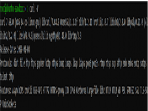 如何在 Linux 上使用 cURL 下载文件？| cURL 命令详解_curl下载文件