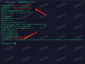 在银河麒麟V10 SP1上手动安装与配置高版本Docker的完整指南_麒麟安装docker