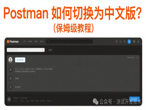 Postman 如何切换为中文版？（保姆级教程）_postman中文版