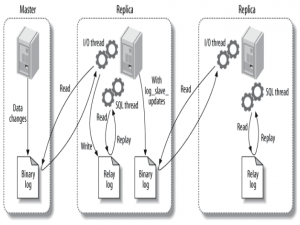 MySQL - 主从复制与读写分离
